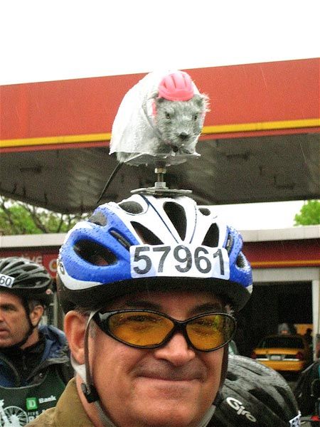 Do you see how the rat is also wearing a helmet and raincoat?
